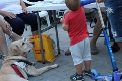 Bielo-čierny koncert 21 17